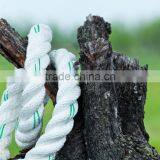 Chemical Resistance Polyester Rope thumbnail-5