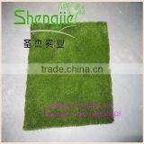 Shengjie New Style SJLJ0621 for Home Garden Decorative Artificial Moss thumbnail-4