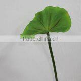 Artificial Lotus Leaf for Decor thumbnail-1