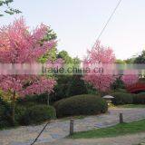 Fiberglass Trunk Wedding Romantic Decor Artificial Silk Flower Cherry Blossom Tree thumbnail-5