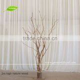 GNW WTR1606002 High quality decorative lighted tree for patry