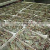 Genuine Quality Vannamei HLSO Shrimp Available in Eco-Friendly Packaging thumbnail-5