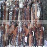 Seaweed Salad Illex Squid thumbnail-1