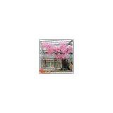 High Quality Chinese Artificial Cherry Blossom Tree/Cherry Blossom Tree for Decoration thumbnail-2