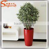 Large Outdoor Bonsai Trees Banyan Wholesale Bonsai Trees Ficus Microcarpa Bonsai Trees thumbnail-3