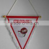 Sports Club Team Flag thumbnail-1