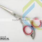 Japanese Stainless Steel Hair Scissors