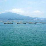 Round Square And Circle Aquaculture Cage System thumbnail-3