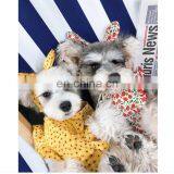 Summer Thin Lovely Princess Dog Dress Schnauzer Pomeranian Pet One-piece Dress thumbnail-1