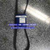 2614E012 2614E017 2614E018 Perkins FANBELT/alternater Belt/ Genuine Perkins Engine Parts thumbnail-1