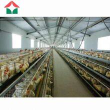 China Prefabricated Automatic Chicken House for 50000 Layers Birds thumbnail-5