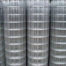 Factory Price Galvanized Hexagonal Chicken Wire Mesh for Fence and Plastering