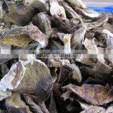 Factory Supply Organic Dried White Boletus Mushroom thumbnail-4