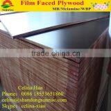 Non-slip Marine Plywood,Black Film Faced Plywood thumbnail-2