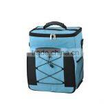 19L Mini Portable Car Cooler Bag 12V