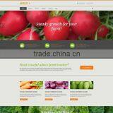 Php Developers India