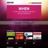 Web Designer thumbnail-5