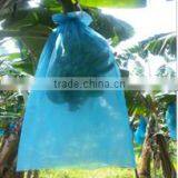 Insecticides Plastic Banana Bunch Bag Manufacturer 20micron