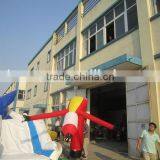 Customized Inflatable Air Dancer/ Inflatable Sky Dancer thumbnail-2