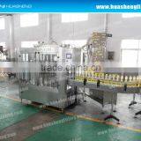 Zhangjiagang Huasheng customized, tailor designed Tomato sauce/ketchup/lubricant/cooking oil/balm/paste filling machine
