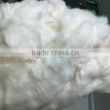 Spinning Waste Cotton Comber Noil