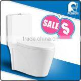 Sanitary ware wc desigh One Piece Toilet in Middle East Market