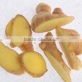Latest Crop China Fresh Ginger thumbnail-3
