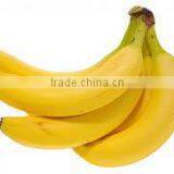 Price of Fresh Cavendish Banana thumbnail-5