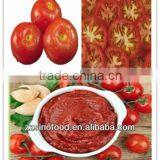 Chinese High Quality Canned Tomato Paste thumbnail-1