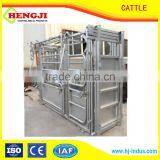 cattle crush and oval tube cattle panel