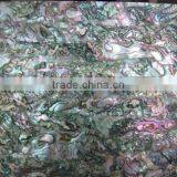 Mexican abalone shell veneer laminate