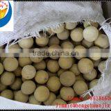 Ball Mill Mill Grinder Mill Group thumbnail-6