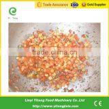 Electric Automatic Stainless Steel Industrial Commercial Vegetable Dicer Slicer Machine thumbnail-4