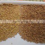 408 Channels High Capacity Wheat/barley Color Sorter Machine thumbnail-3