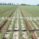 Farm Irrigation Pipes With High Quality thumbnail-4