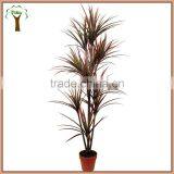 Artificial Dracaena Plant With Red Edges for Landscape Decoration thumbnail-1