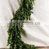 Preserved Boxwood Leaves Garland thumbnail-1