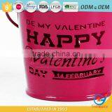 Flower Pots for Garden Metal Outdoor Plant Pots thumbnail-4