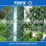 China 8 Foot Decorative Chain Link Fence thumbnail-6
