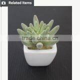 Cute Artifiical Mini Succulent With Ceramic Pot thumbnail-3