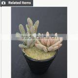 Cute Artifiical Mini Succulent With Ceramic Pot thumbnail-6