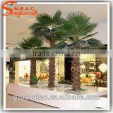 Best Sell Palm Tree Landscaping Tree Artificial Palm Trees for Decor thumbnail-3