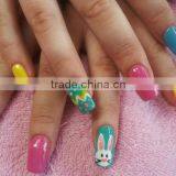Cheap Advanced Nail Art Printing Machine /Flower Printing Machine in India at Low Cost thumbnail-1