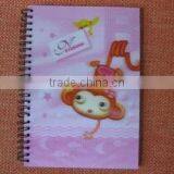 Kids Spiral Exercise Book