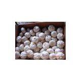 Pure White Garlic thumbnail-1