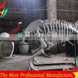 Full Size High Realistic Museum Quality Dinosaur Skeleton thumbnail-5