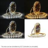 DC12V LED Strip 5050 Color Temperature Adjustable CCT LED Tape 5050 White+Warm White in One LED Double Color,60LED/m thumbnail-5