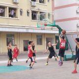 Shenzhen Shengsiduo International Trade Co.,Ltd company overview - view 4 thumbnail