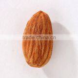 Raw and Roasted Almond thumbnail-1