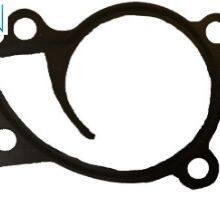 Auto Pump Gaskets thumbnail-5